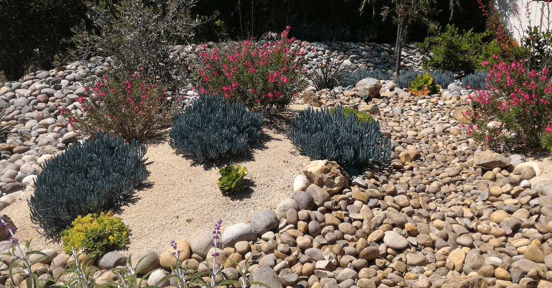 Xeriscaping: A Water-Wise Landscaping Solution for Your Alberta Yard by Earth and Turf Landscaping Edmonton